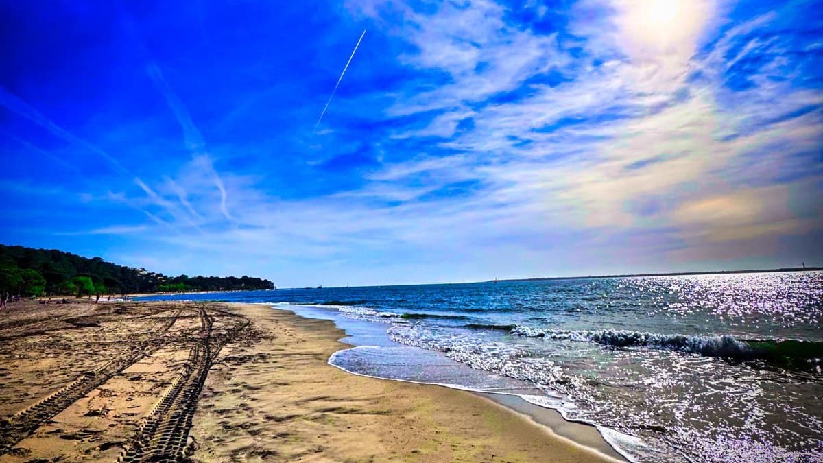 Une plage de sable clair marquée de traces d'engin, la bande de sable humide et la mer sur la droite, une lisière de pins au fond à gauche