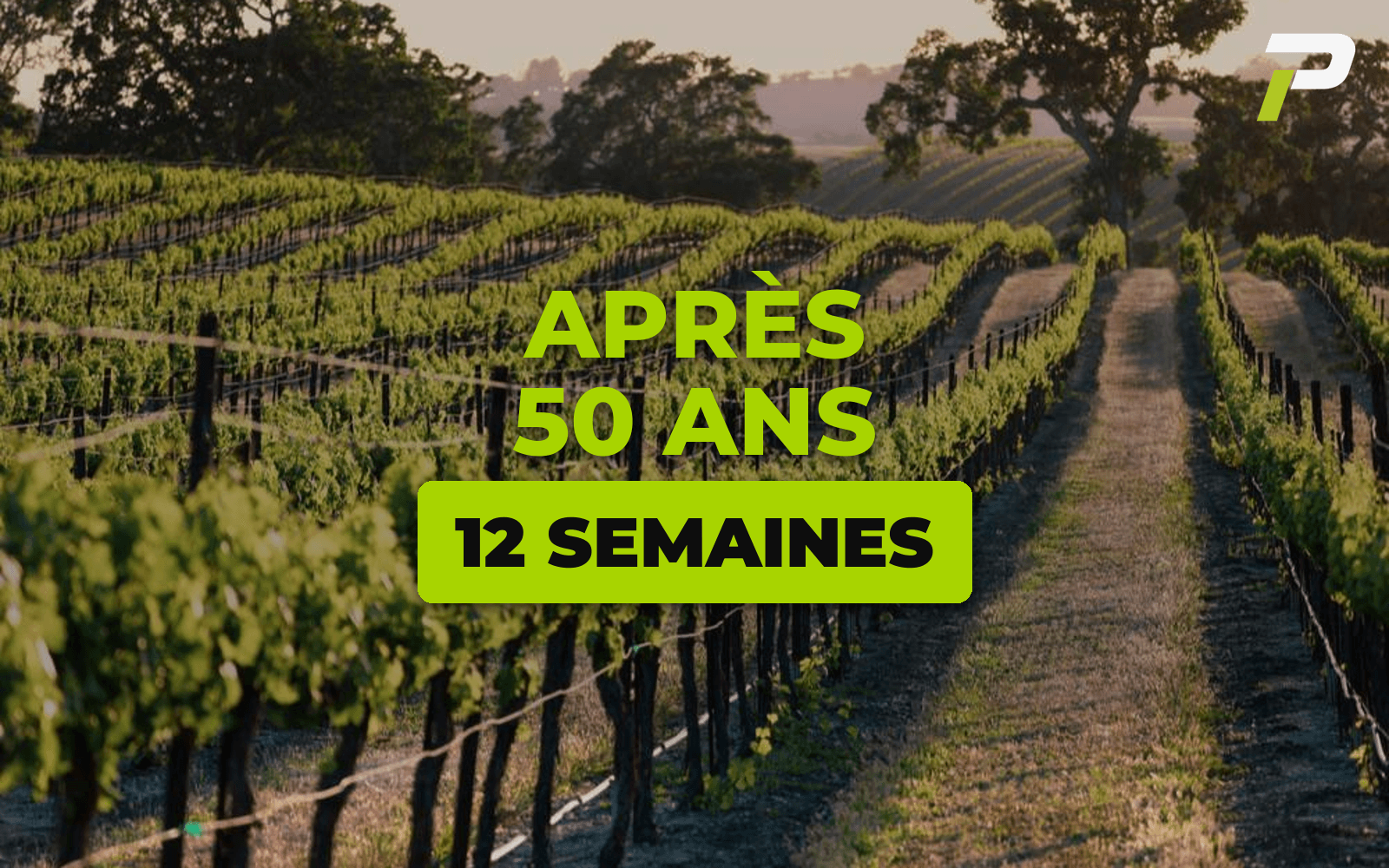 Carte du programme Rester en forme après 50 ans : des rangs de vigne filant vers l'horizon à la lumière dorée, aux couleurs PASCER